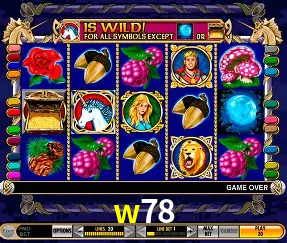 Descubra o Mundo do Cassino Online com w78